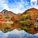 여행포레정읍 이미지