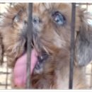 지탄농장 이미지