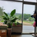 태송농장 이미지