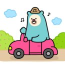 스프루스업 이미지