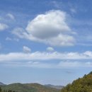 휘바핀란드위드플레이정글 이미지