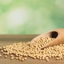 헬스키친 이미지