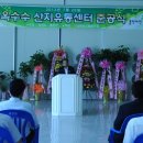 남면옥수수 이미지