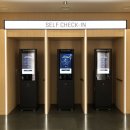 호텔메종 | 제주시 호텔 메종글래드 제주 스탠다드 트윈 내돈내산 숙박 후기