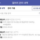 HOME 테일즈위버 갤러리 이대로 두어야 할까요? 이미지
