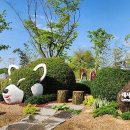 동물원 가는 길 이미지