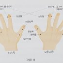 종부테라피