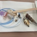 바다를 담은 석고방향제 | 바다를 담은 석고방향제 디퓨져 만들기 : 서산 가로림만 공예유랑단