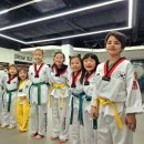 국가대표 영어 태궈니스트 태권도 이미지