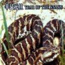 D00025 네이버블로그