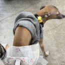 팅크 이미지