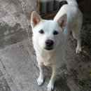 사랑애완동물병원 이미지