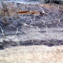 진주 가진리 새발자국과 공룡발자국 화석산지 이미지