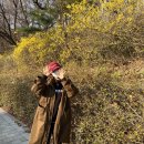 원숭이초밥