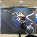 함현초등학교 티스토리