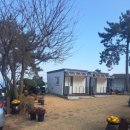 하늘보라2 이미지