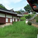 천계리 Daum카페