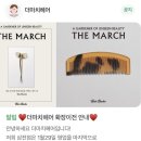 더마치헤어 이미지