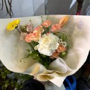 플랑떼플레르 이미지