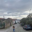 26290-20-15-003 | [1월 포르투갈] 포르투 3일차 오전 : 마이리얼트립 그라함즈 와이너리 한국어 투어 (예약, 비용, 시음)