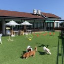 펫츠하우스 이미지