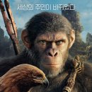 (유)무비건설 | 혹성탈출4 새로운 시대 관람평 명대사 포토 sf 영화 추천 시리즈 순서