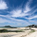 (주)파란제주 이미지