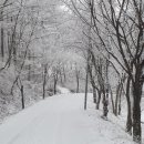 장수골 민박(안동펜션) 이미지