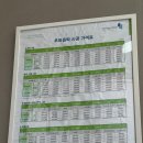 Q | 일산썬팅 테슬라 모델Y 주니퍼 브이쿨Q 시공 후기, 제이원썬팅 솔직 리뷰