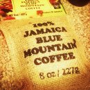 블루마운틴 스크린 이미지