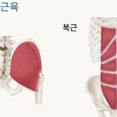 시원 신경외과의원 이미지
