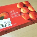 탁이농장 네이버블로그