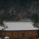 모네의 숲 민박 Daum카페
