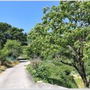 북산농장 이미지