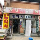 던킨도너츠서산 네이버블로그