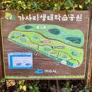 소라면 가사리 이미지