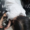 맘스터치경산역점 이미지