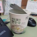 광역투어(넷재주, 일) | #5) 새로운 경험은 여자를 발전하게해 (2024.02.26 - 2024.03.03)