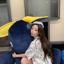 디자인퍼플케이