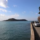 통영터널로가로수 이미지