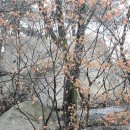 천축사 마애사리탑 이미지