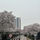 박순자아우내순대 - 아산시 | 박순자아우내순대