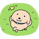 엑스와이제트(XYZ) 이미지