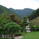 맑은산장농원 이미지