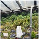 해와달펜션 이미지