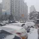 콩샌(영등점) 이미지