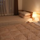 토요코인 대전정부청사앞 이미지