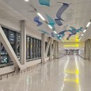 미국 뉴욕 EWR 뉴왁 공항 노숙 밤샘 후기