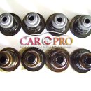 카프로샵 이미지