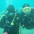 푸른축산 이미지